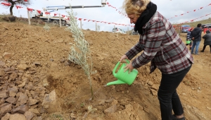 Kampanyanın İlk Fidanları Toprakla Buluştu