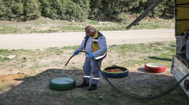 Buca'da sokak hayvanları unutulmuyor