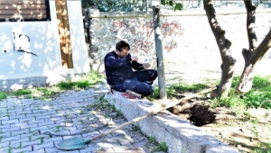 Parklar saldırı altında