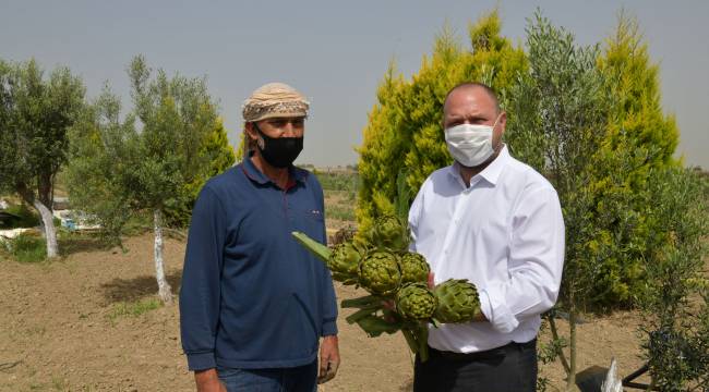 Çiftçiler Günü'nü Makamda Değil Tarlada Kutladı