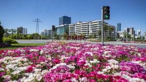 İzmir'den iç açıcı görüntüler