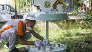 İzmir sıcaklarında Buca Belediyesi'nde mama ve su seferberliği