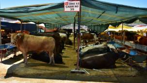 Kurban satış alanında hijyen ön planda