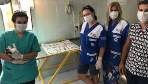 Can dostlarımıza HAYTAP desteği 