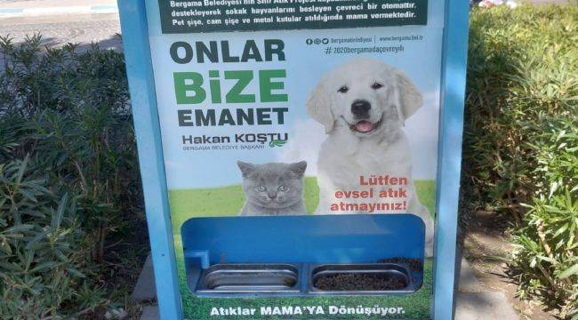 Atık pet şişeler mama olmaya devam ediyor