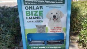 Atık pet şişeler mama olmaya devam ediyor
