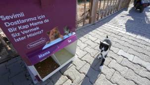 Can Dostların Artık Mamamatiği Var