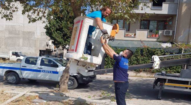 Zabıtalar kediyi kurtardı