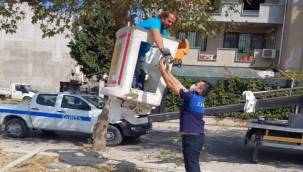 Zabıtalar kediyi kurtardı