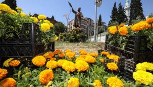 Buca'nın sokakları çiçek açtı