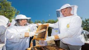 Bal Merası'nda ilk üretim