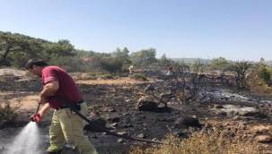 Urla Birgi Çıkan Yangın Kısa Sürede Söndürüldü
