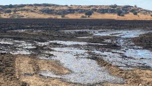 Foça'da vatandaşlardan vidanjörlere sıkı takip!