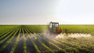 Paris İklim Anlaşması Kabul Edildi!