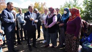 Bornova'da Zeytin Yetiştirme Teknikleri eğitimi
