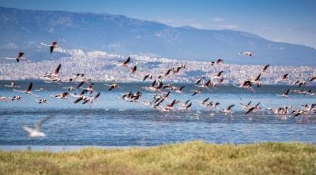 İzmirliler UNESCO adayı Gediz Deltası'nda buluşuyor