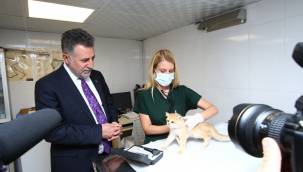 Sandal'dan "Bakım Merkezi" müjdesi