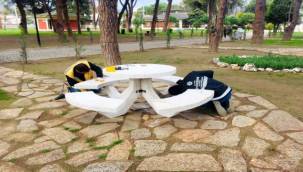 Aydın Büyükşehir Belediyesi'nden Yeşil Hazırlık