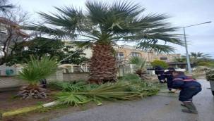 Ayvalık Yaz Sezonuna Hazırlanıyor