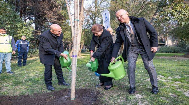 Brezilya'dan İzmir'e Kardeşlik Fidanı