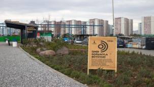 ''Doğa Şehirde'' Projesi Mavişehir Balıkçı Barınağı'ndan Başladı