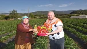 Çilek Festivali heyecanı başladı
