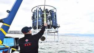 Hedef yüzülebilir Körfez