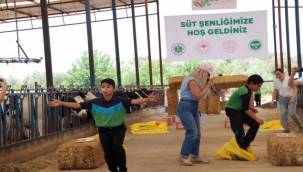 İzmir'de Dünya Süt Günü kutlamaları