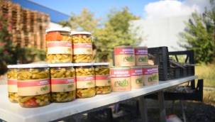 Bornova'da kınalı bamya hasadı