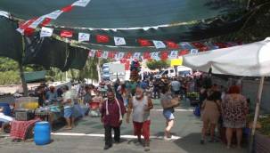 9.Payamlı Bardacık Festivali Başlıyor