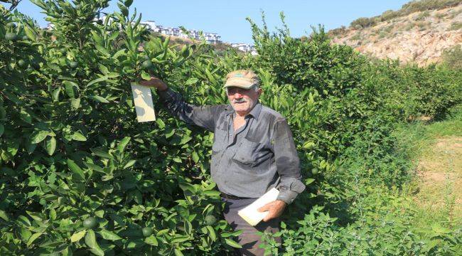 Güzelbahçe Belediyesi'nden Üreticiye Desteğe Devam