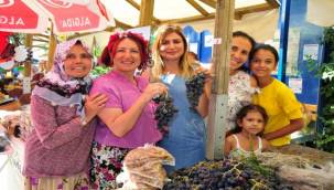 Üzüm Festivali için geri sayım başladı!