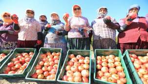 Efes'te "nar neşesi, şen tanesi" şenliği