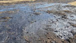 " Sabrımız bitti suç duyurusunda bulunacağız"