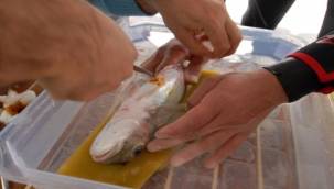 Egeli bilim ekibinin paydaşı olduğu projeye AB'den 3, 3 milyon Euro fon desteği