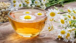 Hangi rahatsızlıkta hangi bitkiden yararlanılmalı?