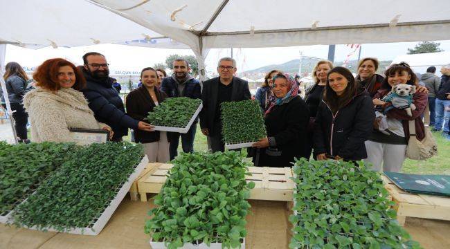 Efes'in ata tohumları deprem bölgesinde filizlenecek