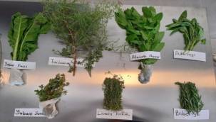 Çeşme'de EÜ Gastronomi Akademisi rüzgarı