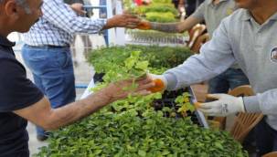 Efes Selçuk'ta sofralar bereketlenecek