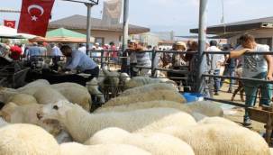 Ödemiş'te Kurban Satış Ve Kurban Kesim Yerleri Belli Oldu