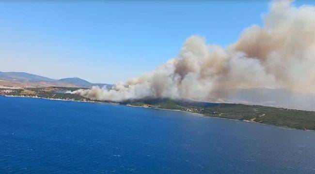 Aliağa ve Menderes'te orman yangını