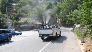 Bayraklı'da 'İlaçlama' Seferberliği