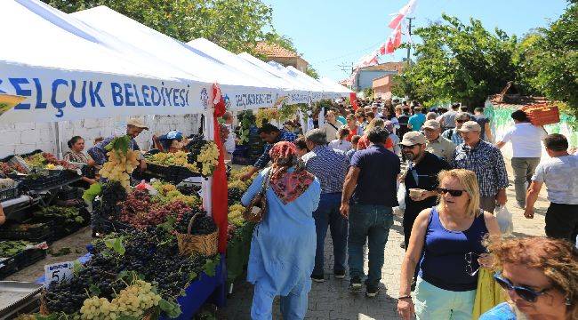 Efes Selçuk Gökçealan'da Üzüm Şenliği Var 