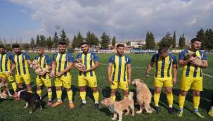  Maça Sahiplendirilmeyi Bekleyen Köpeklerle Çıktılar