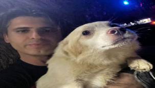 Bir aydır kayıp olan Pamuk'u İzmir İtfaiyesi sahibine kavuşturdu