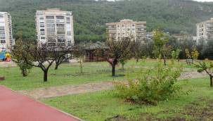 Karşıyaka Meyve Bahçeleriyle Renkleniyor