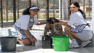 Bunaltan sıcaklarda can dostlar unutulmadı