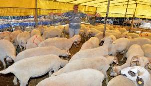 İzmir Büyükşehir Belediyesi güvencesiyle 