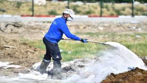 Sinek ve haşerelere karşı aralıksız mücadele