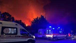 Başkan Tugay, Selçuk'ta yangın bölgesinde incelemelerde bulundu